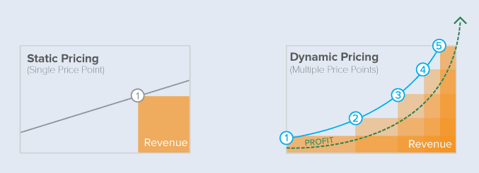 dynamic pricing vs statics pricing
