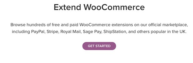 E-Commerce Business Expenses woo