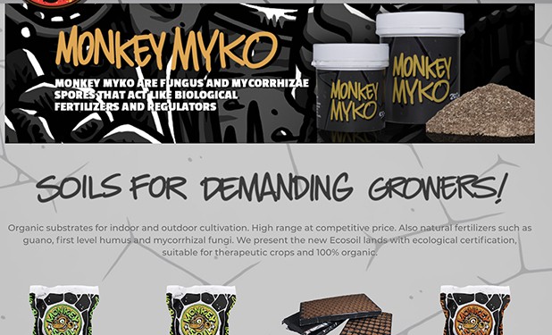 Monkey Myko Branding