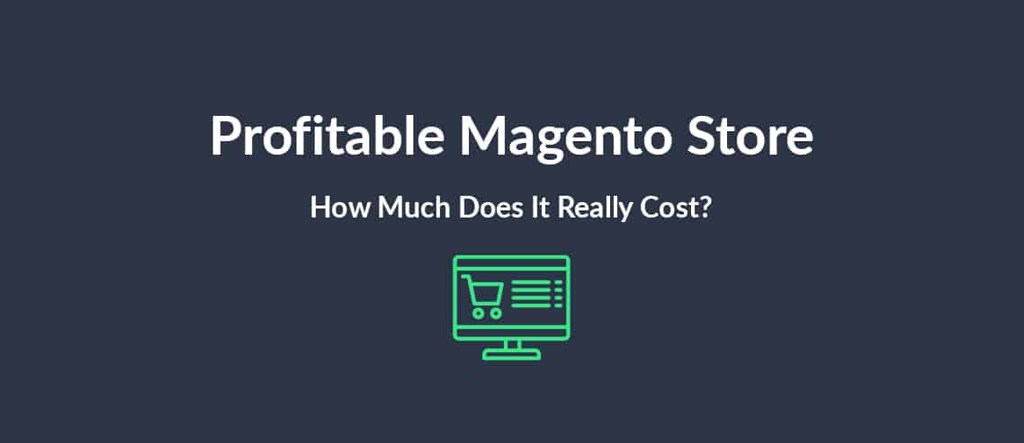 Profitable Magento Store How Much Does It Really Cost?
