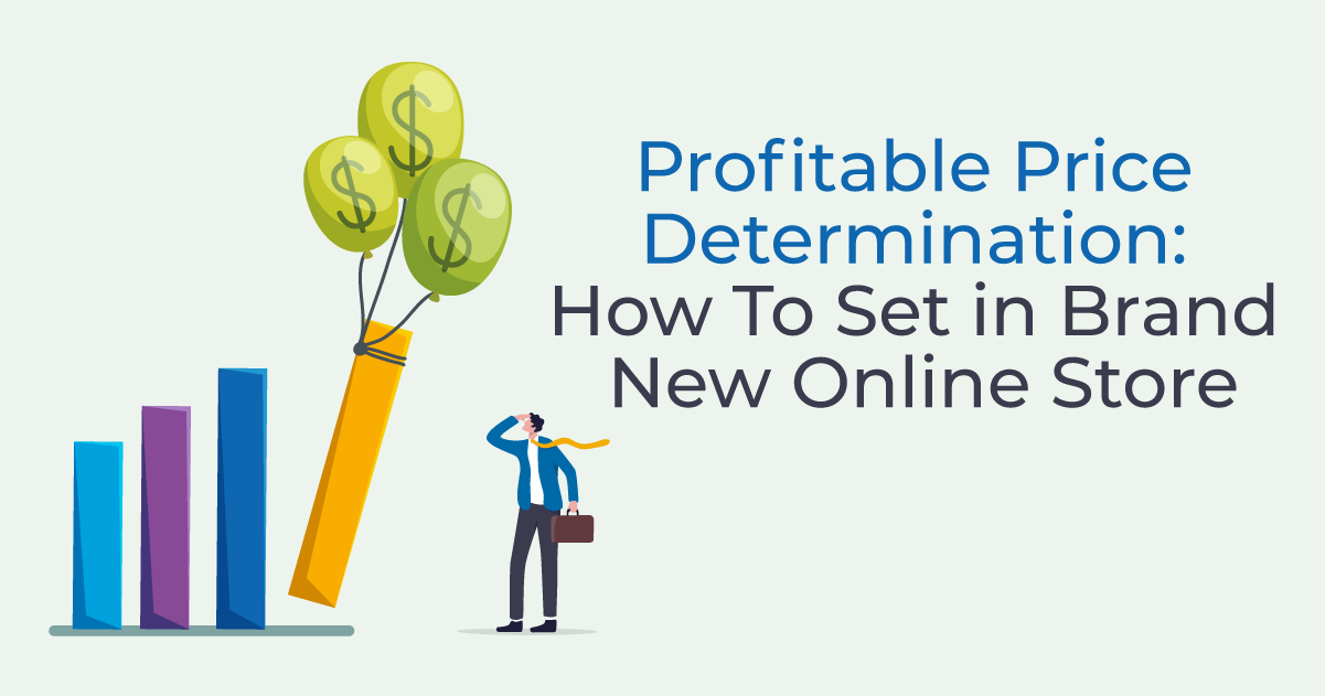 Profitable Price Determination How To Set in Brand New Online Store