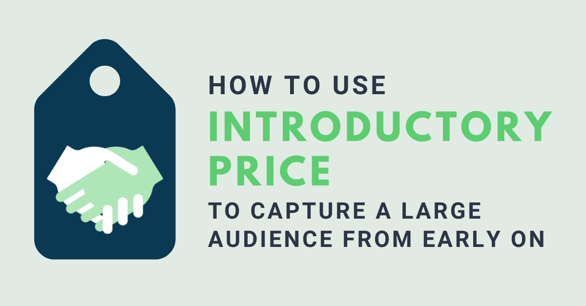 How To Use Introductory Price To Capture A Large Audience From Early On